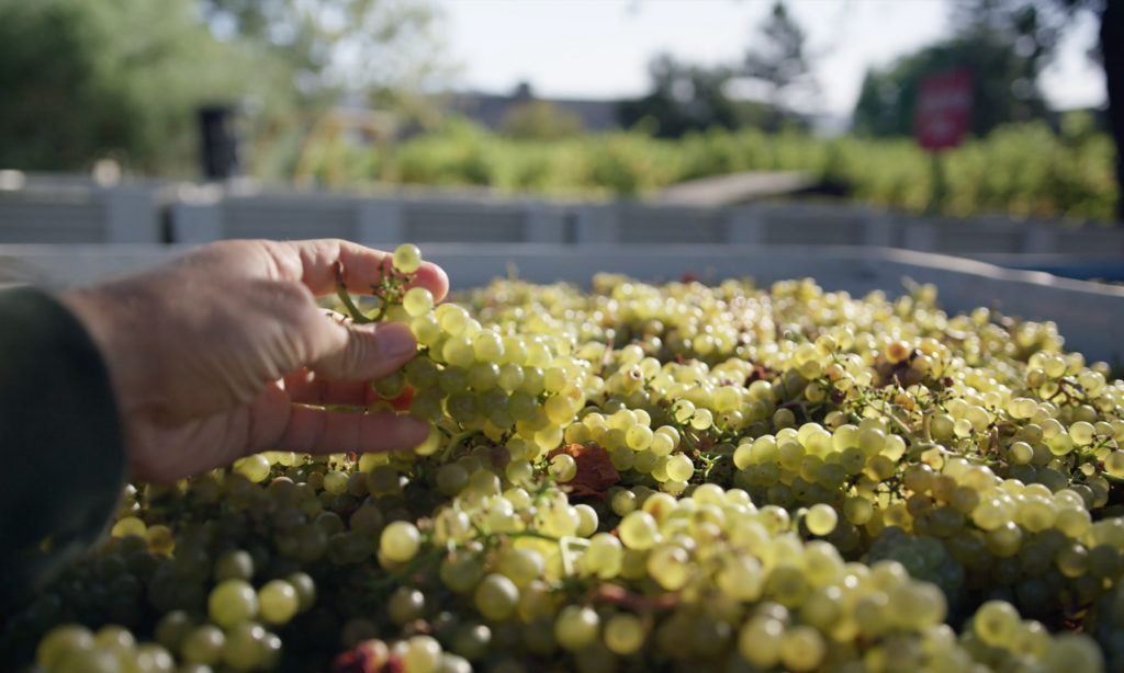 Joel Gott Wines - Joel Gott California Unoaked Chardonnay Photograph