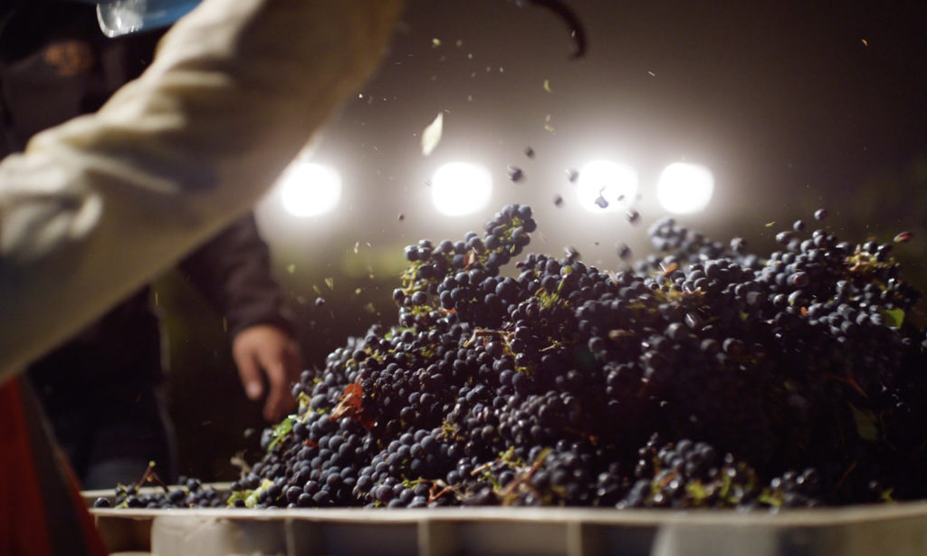 Joel Gott Wines - GOTT Napa Valley Cabernet Sauvignon 2016 Photograph Joel Gott Wines - GOTT Napa Valley Cabernet Sauvignon 2016 Photograph